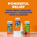 zicam-allergy-relief-no-drip-liquid-nasa-2.jpg