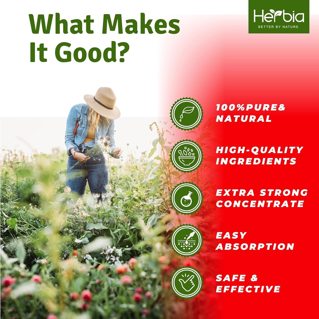 3x-echinacea-immunity-extra-strong-conce-5.jpg