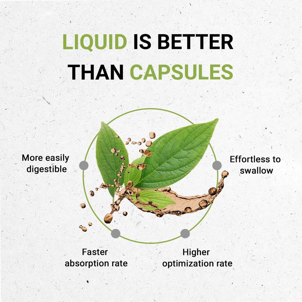 bacopa-usda-organic-alcohol-free-extract-2.jpg