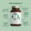 pure-synergy-vibrant-aging-bundle-for-bo-6.jpg