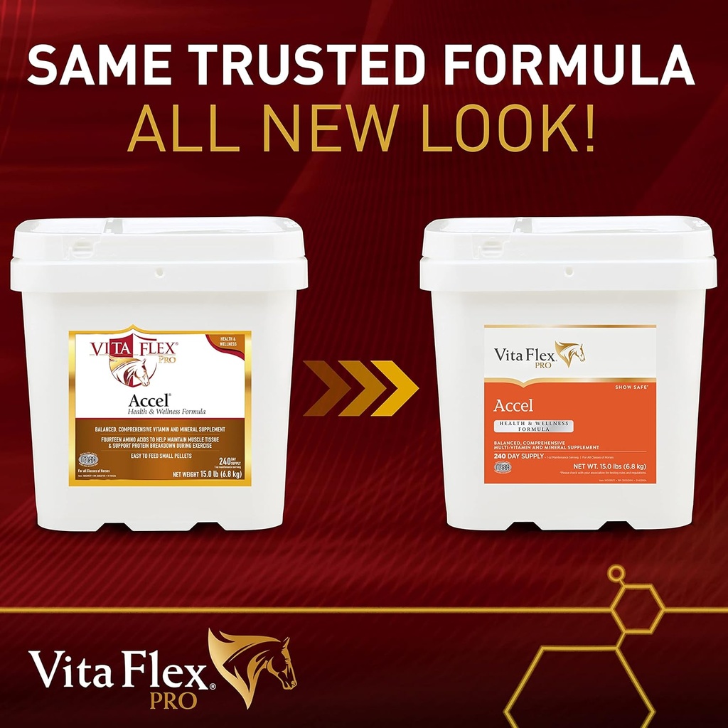 vita-flex-pro-accel-health-wellness-form-2.jpg