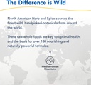 north-american-herb-spice-black-seed-oil-6.jpg