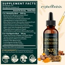 liposomal-berberine-drops-supplement-300-2.jpg
