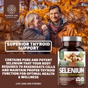 2-pack-n1n-premium-pure-selenium-max-abs-3.jpg