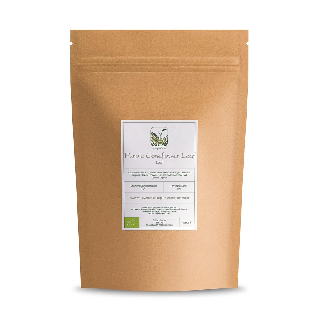 purple-coneflower-herb-echenecia-tea---i-2.jpg