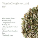 purple-coneflower-herb-echenecia-tea---i-5.jpg
