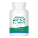Rootcology by Dr. Izabella Wentz | Amino Support | Amino Acid Complex Capsules with L-Glutamine, Glycine & MSM | 90 Capsules