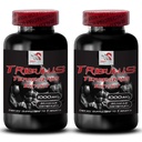 Energy and Strength Support - TRIBULUS TERRESTRIS EXTRACT - Active Recovery Blend, Nature’s Power Energy, Body Vitality Support, Pure Performance Boost, Muscle Support Blend 2 Bottles 180 Tablets