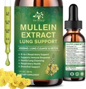 (2 Pack) 6 In 1 Mullein Drops for Lungs, Organic Mullein Leaf Extract Tincture for Lungs, Detox Cleanse & Respiratory for Breathing Health, Mullein Oil Supplement Immune Support, Vegan, 1 Fl Oz