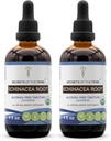 Echinacea Root USDA Organic Tincture | Alcohol-Free Extract, High-Potency Herbal Drops, Immune System Health | Made from 100% Certified Organic Echinacea Root (Echinacea Purpurea) 2x4 oz