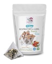 respiratory vitamins - RESPIRATORY AND LUNG SUPPORT TEA 14 Days with Cinnamon, Hibiscus, Marshmallow Root, Astragalus, Peppermint, eucalyptus tea leaf 1 Pack 14 Tea Bags