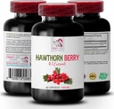 antioxidant supplement for women - HAWTHORN BERRIES EXTRACT - hawthorn extract supplement, berry supplement, antioxidant berries, wild berry energy, hawthorn energy pills for woman 1 Bot 60 Capsules